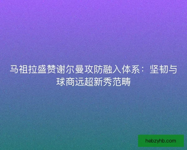 马祖拉盛赞谢尔曼攻防融入体系：坚韧与球商远超新秀范畴