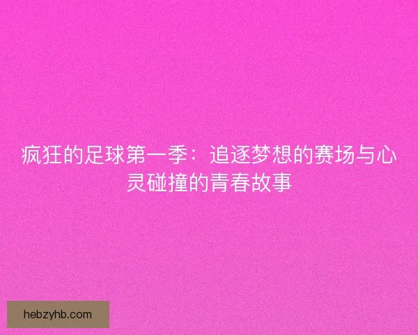 疯狂的足球第一季：追逐梦想的赛场与心灵碰撞的青春故事